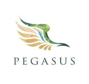 Pegasus